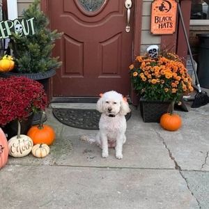 Meet your Posher, Sonia